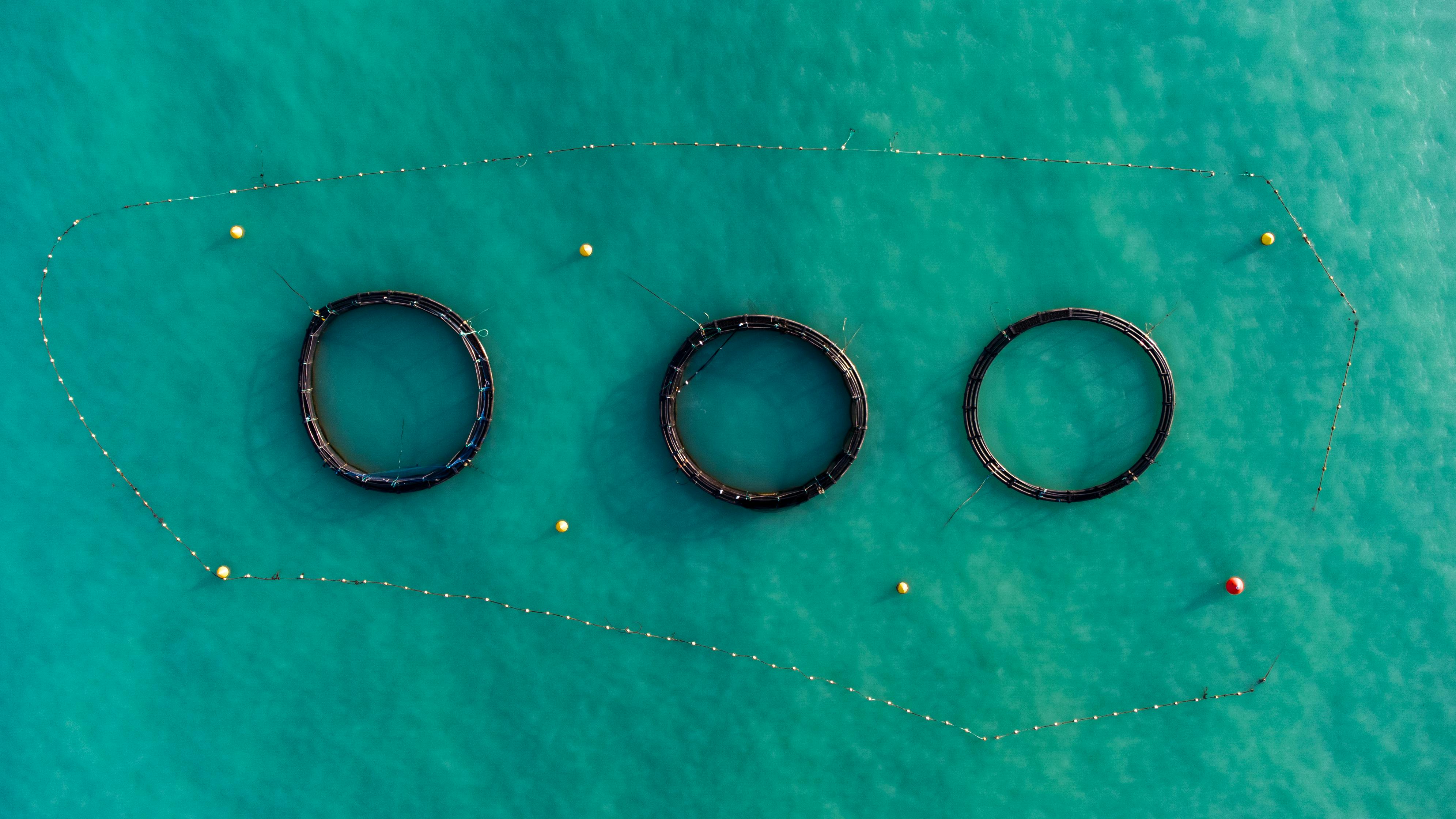 Fisheries Management hero background